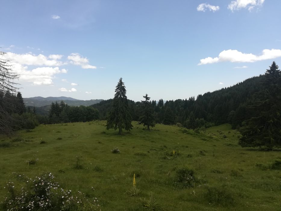 Продава се Къща в к.к. Пампорово - 2317 кв.м за 56 €/кв.м - Снимка #14