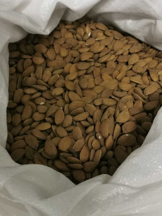 Бадеми от с. Момково