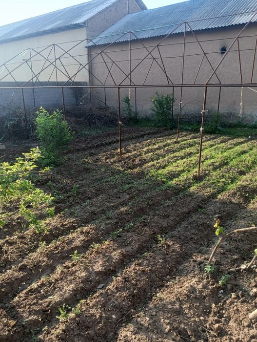 Парник сотилади бир сотихлик