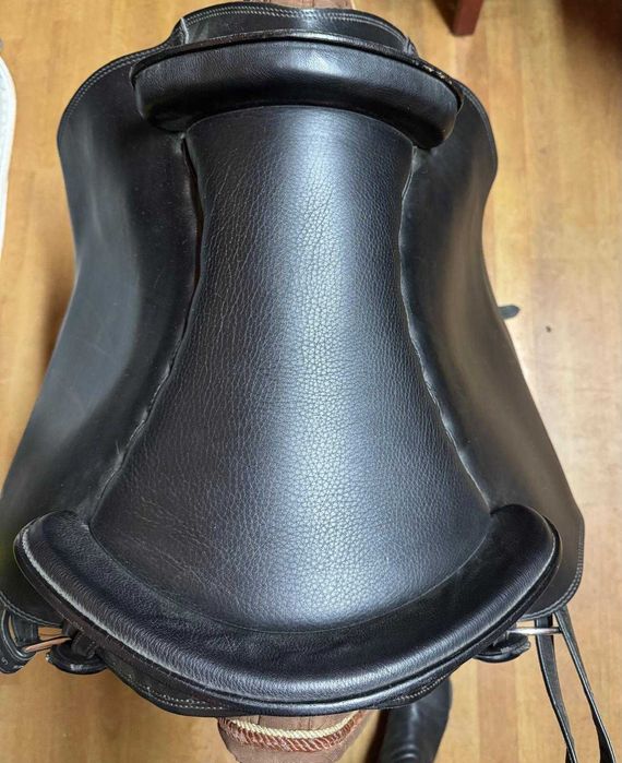 Șa de echitație show