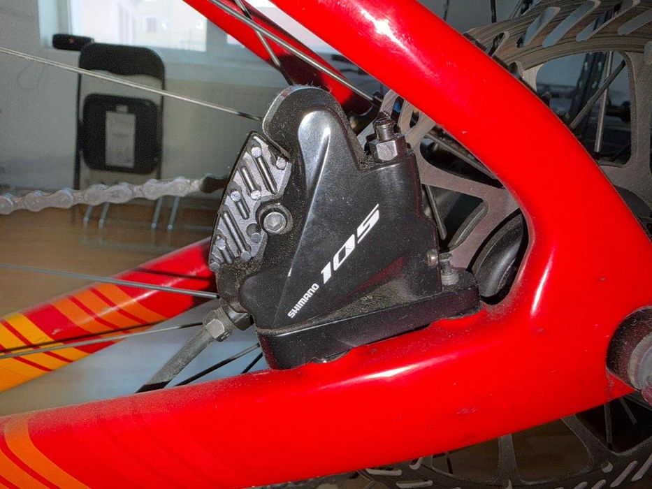 Cursiera Tifosi Auriga