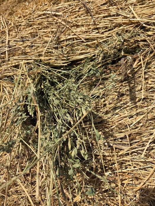 Vand baloti lucerna 120/160