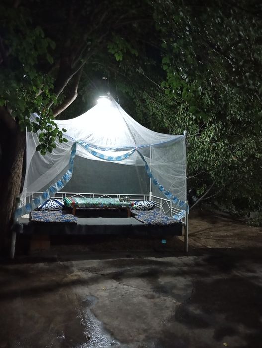 Арзон Без Закс Bez zaks Kunlik mehmonxona hostel xostel