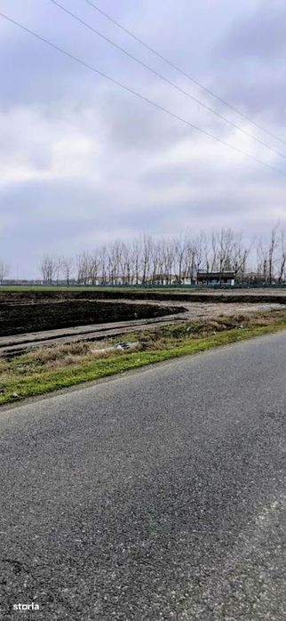 Urziceni. Locuri de casă. Str.Buzaului.peste linie.Supraf 530 - 900mp.