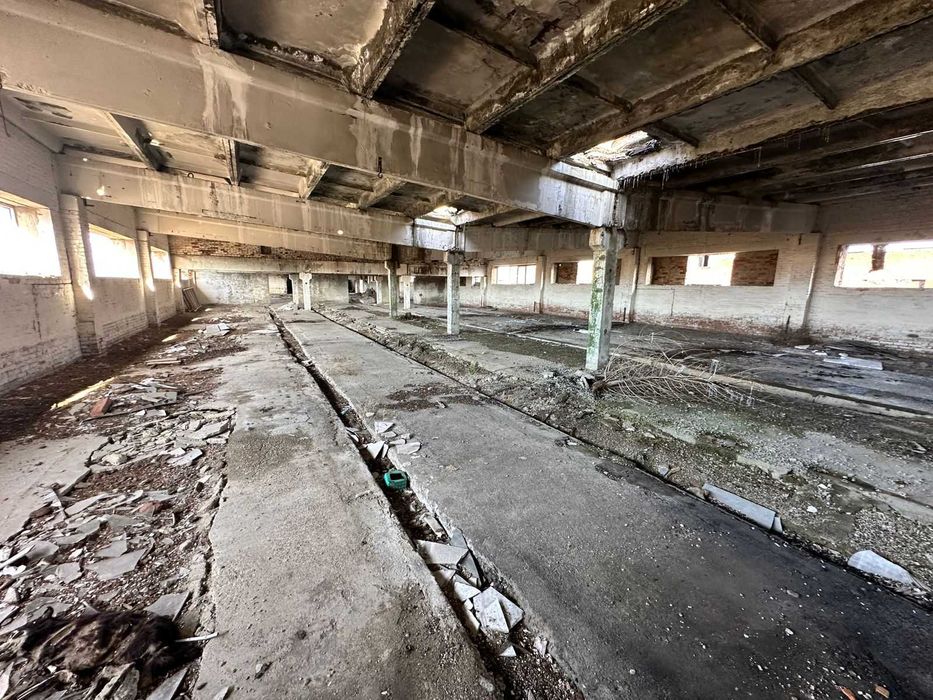 В продаже База новоявленка Алаш 1