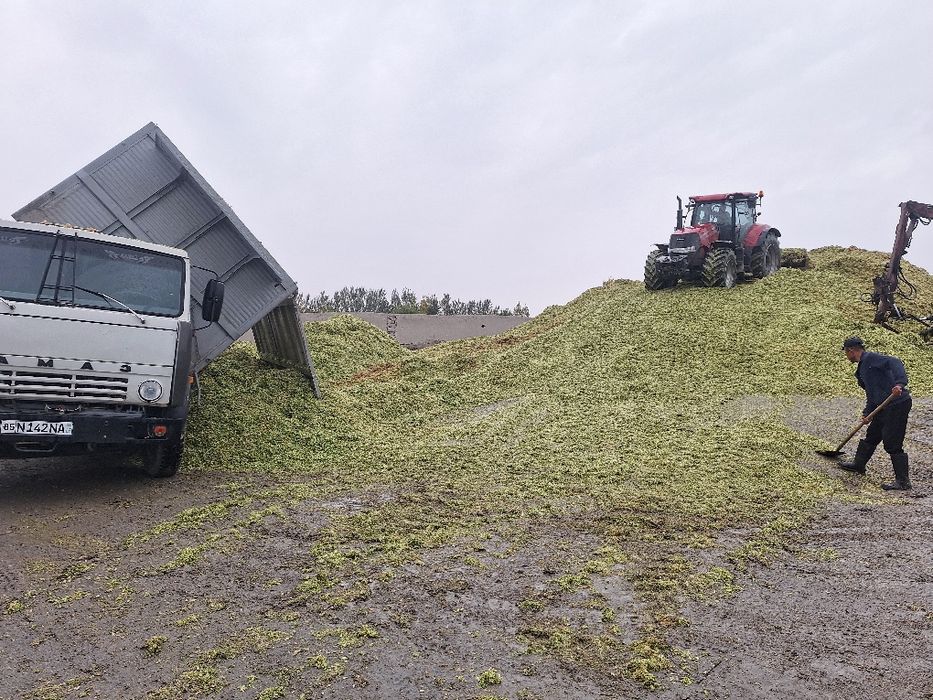 Камаз селхоз 55102