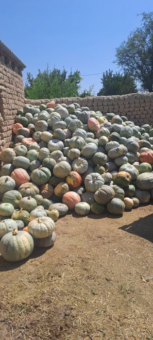 Аскабак сатылады  кг 80теңгі