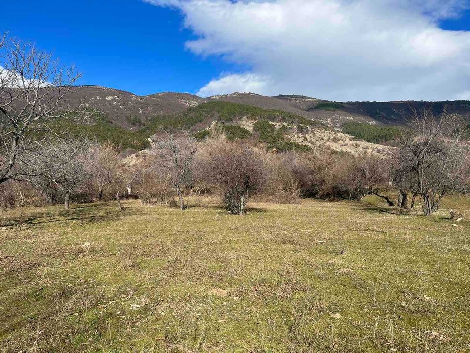 Продава се Парцел в Карлово - 2490 кв.м за 4 €/кв.м - Снимка #1