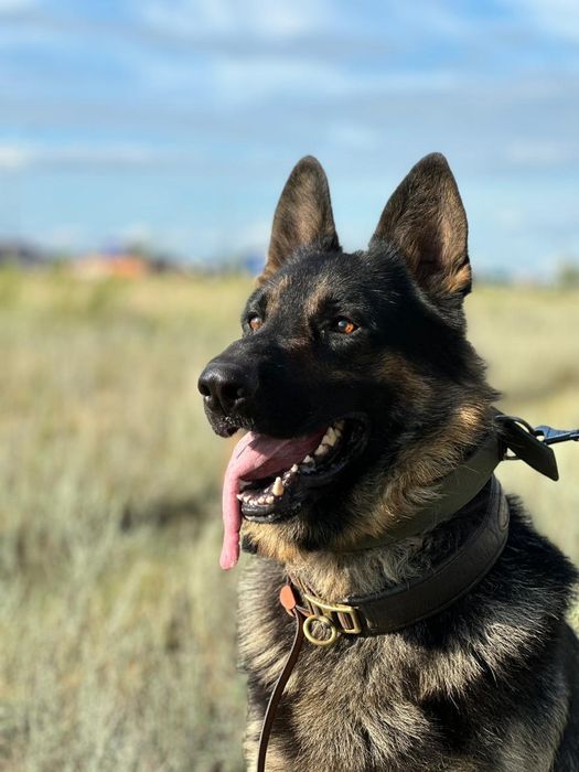 Вязка немец, кабель