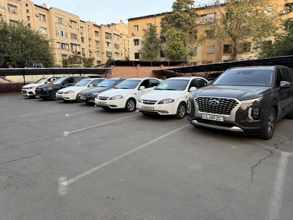 ARENDA  Nexia 3 automat ( spark , cobolt, gentra)