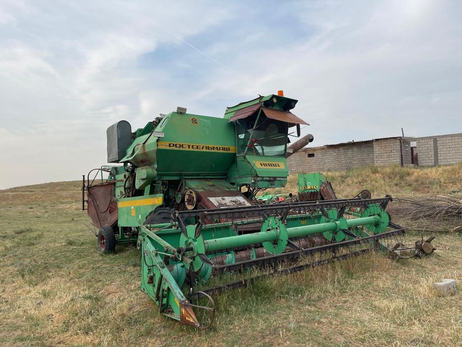 Нива эфеккты жагдайы жаксы