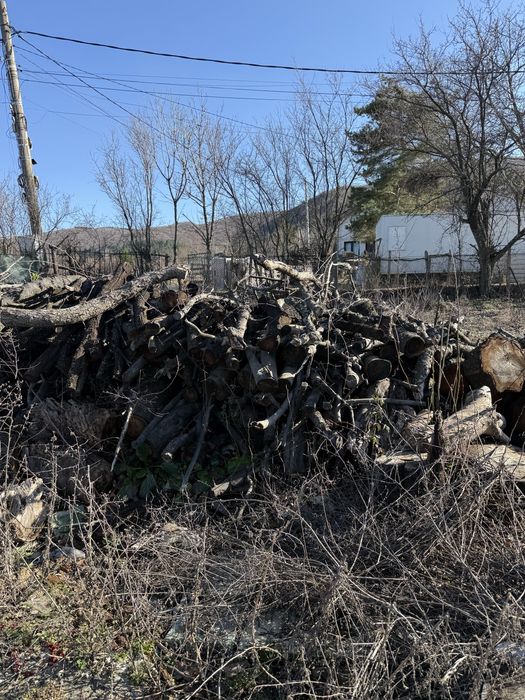 Дърва и клони за огрев 6-8 м2