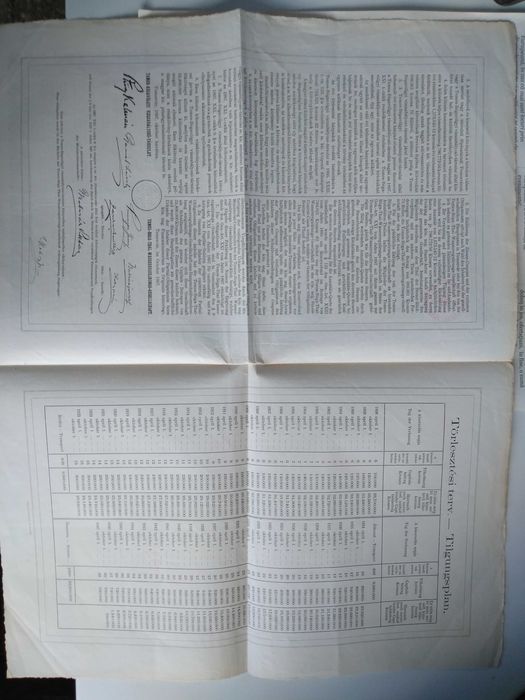 Actiuni vechi Timisoara 1897 Timis Bega Uzina  apa documente