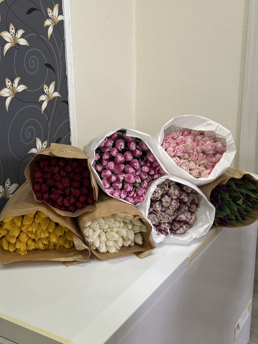 Продам тюльпаны по доступной цене!