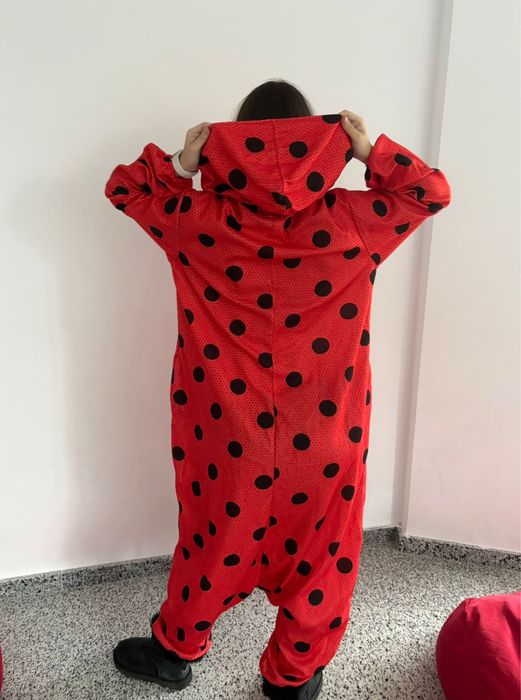 Salopete Buburuza  si Motan Noir