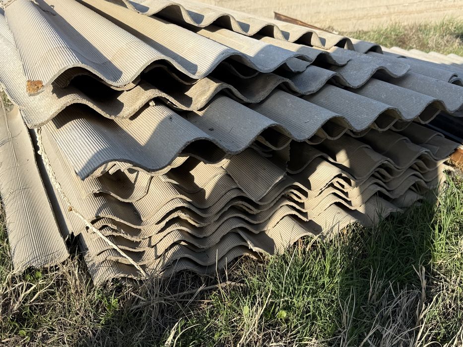 Шипр буу алам ди