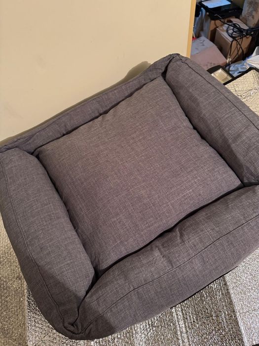 Pat pentru caini-nou