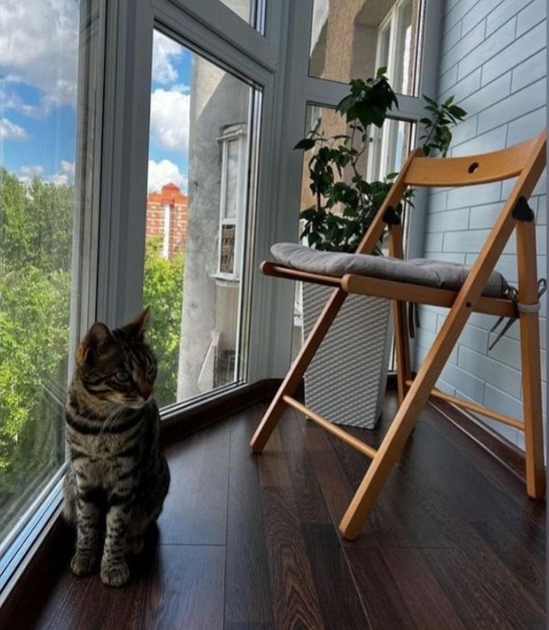 Пластиковые окна двери