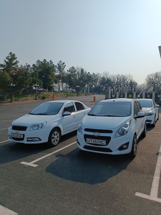 Suxoy Arenda Spark | Сухой Аренда Спарк | Suhoy Arenda Spark