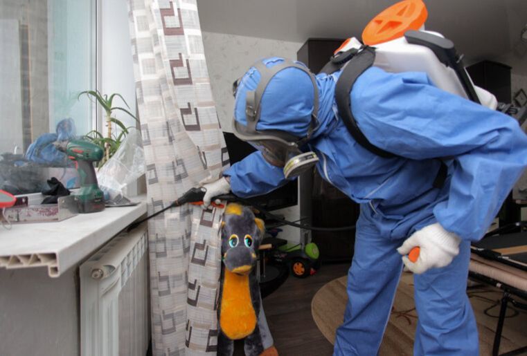 Dezinfeksiya дезинфекция 24/7 dizinfeksiya клапа таракан klapa tarakan