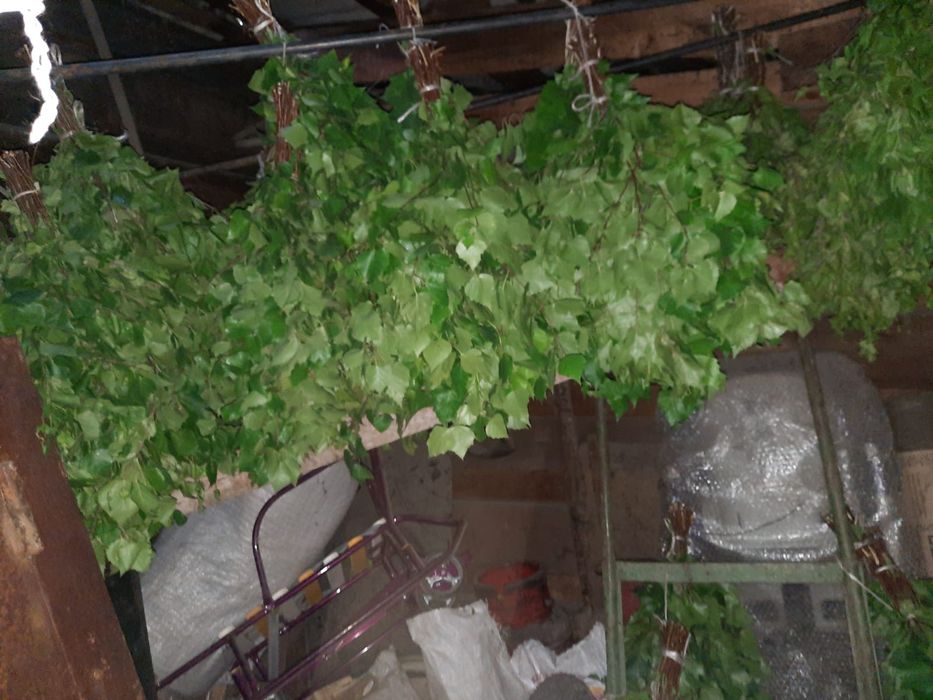 Сами улшы бинек.