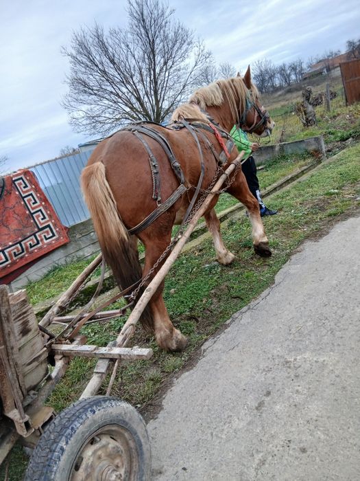 1111111111111111111111111111