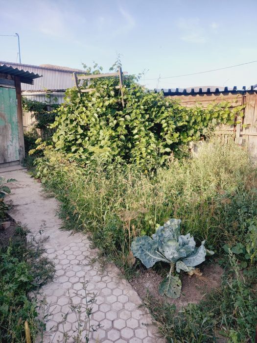 Продам кирпичный дом