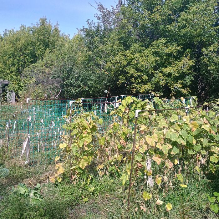 Продам дачу 19 маршрут