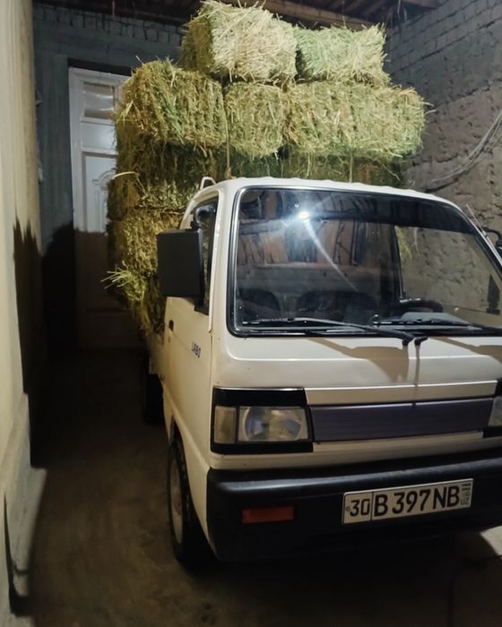 Дагал хашак беда самон бор