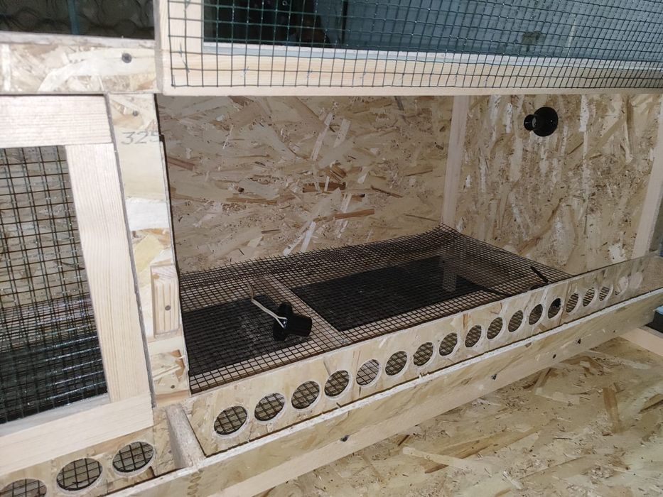 Брудер для цыплят