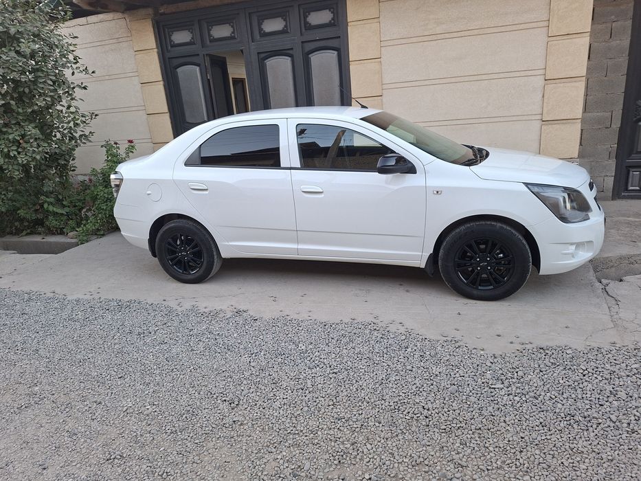 COBALT Midnight 2025