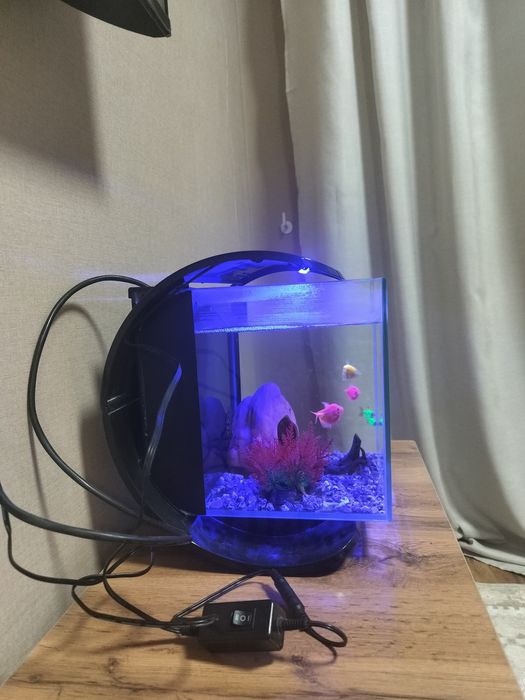 Аквариум Tetra, 10 литров