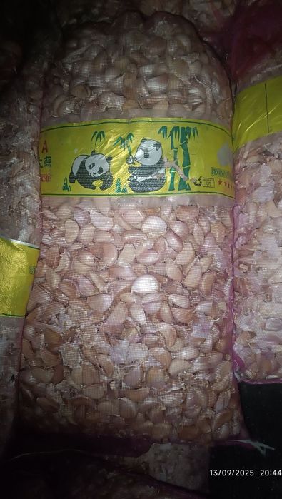 chisnok sotiladi yaqinda terib olingan sifatiga zor