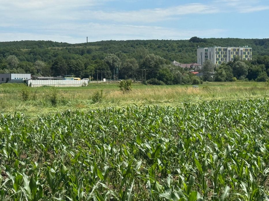 Teren 8.800mp Mioveni / acces drum public / utilități aproape / investiție