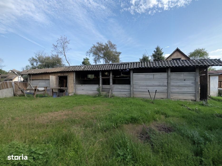Casa la tara, gaz, acces auto, teren 4122 mp – Petid, Bihor