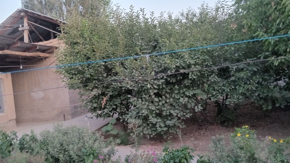 Hovli sotiladi hamma sharoit bor