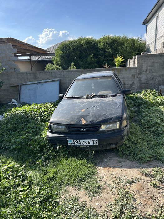 Кой  ешкыге вариант бар