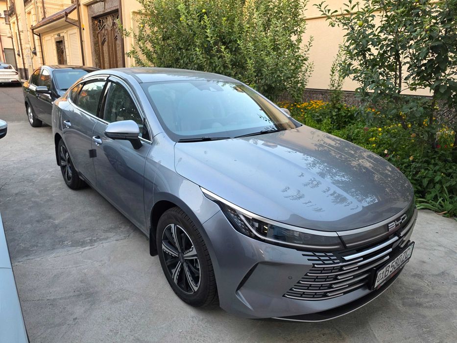 Byd chazor full 4 позиция. 2025г. Май месяц. Цвет серый.