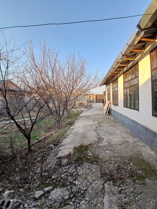 Уй сатылады  камунызм