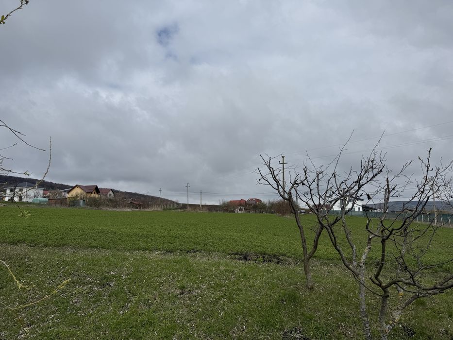 Vand teren Valea Chintaului Mun Cluj Napoca