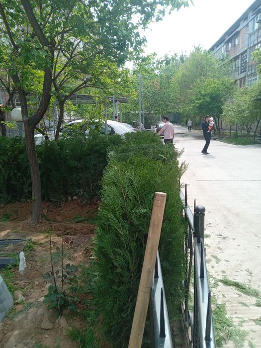 Арчалар зелёный забор мини забор учун