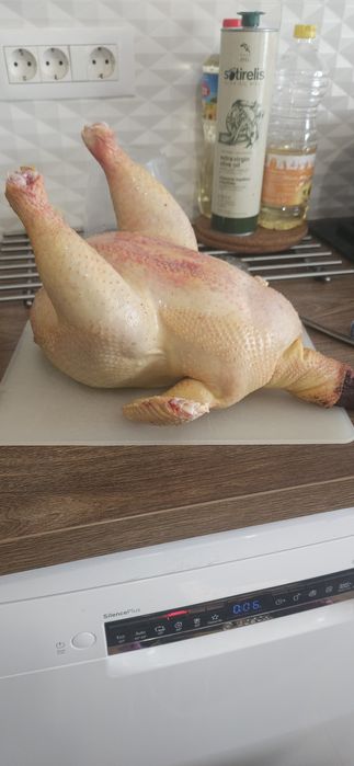 Ouă de gaina de țară