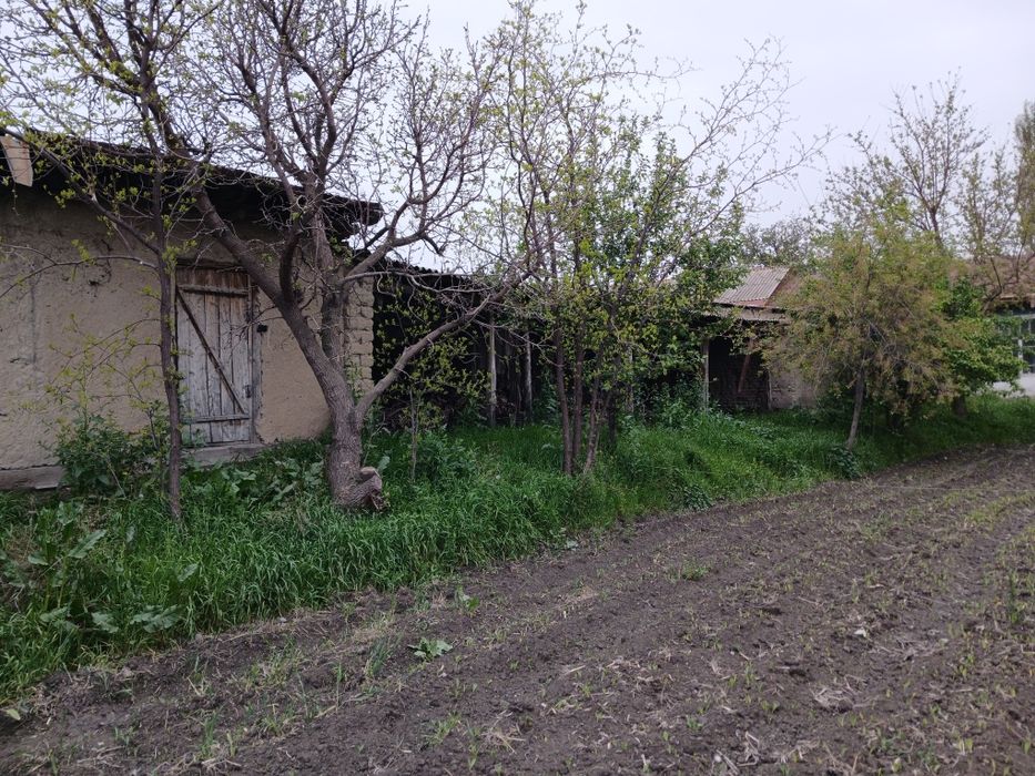 Uy joy hovli uchastka sotiladi