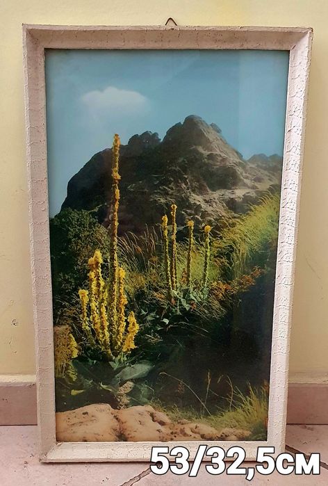 Запазени ретро картини с красиви дървени рамки