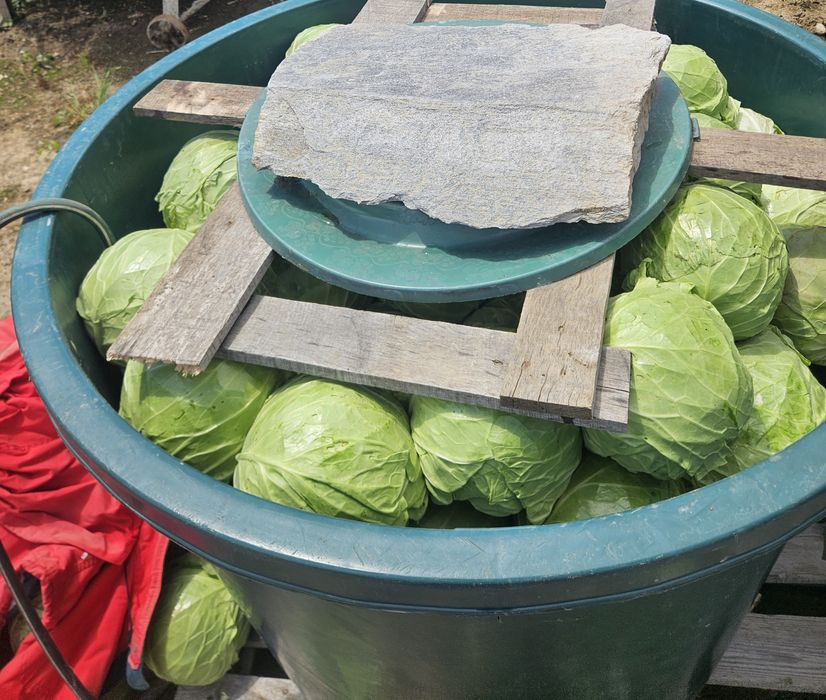 Varză Murată Bălesti
