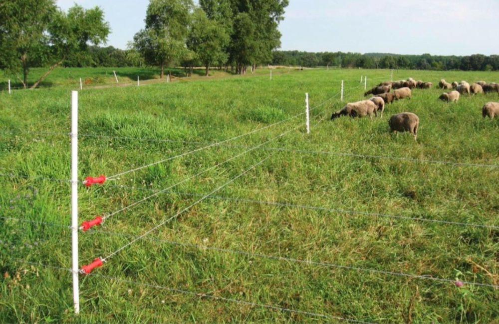 Электропастух Изгородь для животных забор