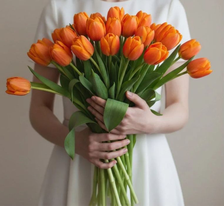 Тюльпаны экстро класса