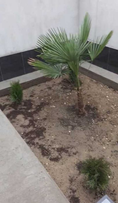 Продаётся дом 1,3 сот 3 комнаты Бектемир район Ипотека есть 50 %