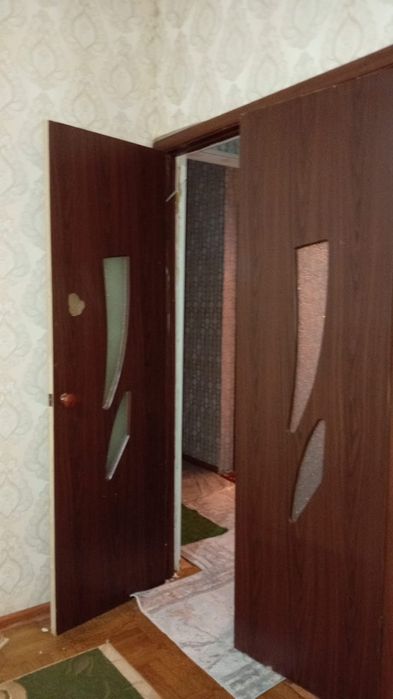 Сатылады горила әперсеңдер болды