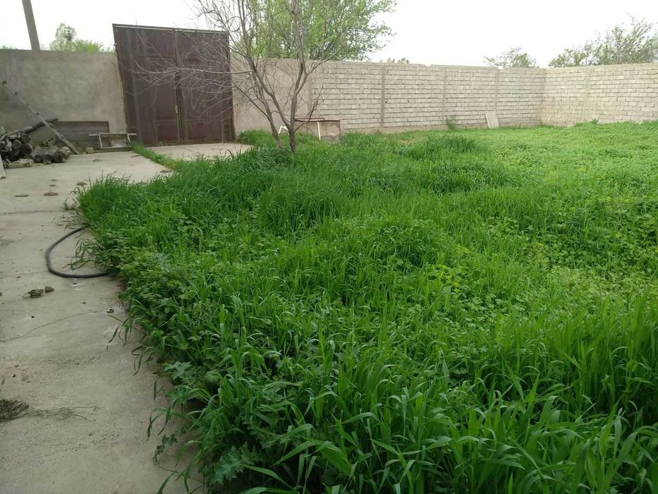 Срочно продается дача-уютный дом на 3 участках ТАШМОРЕ